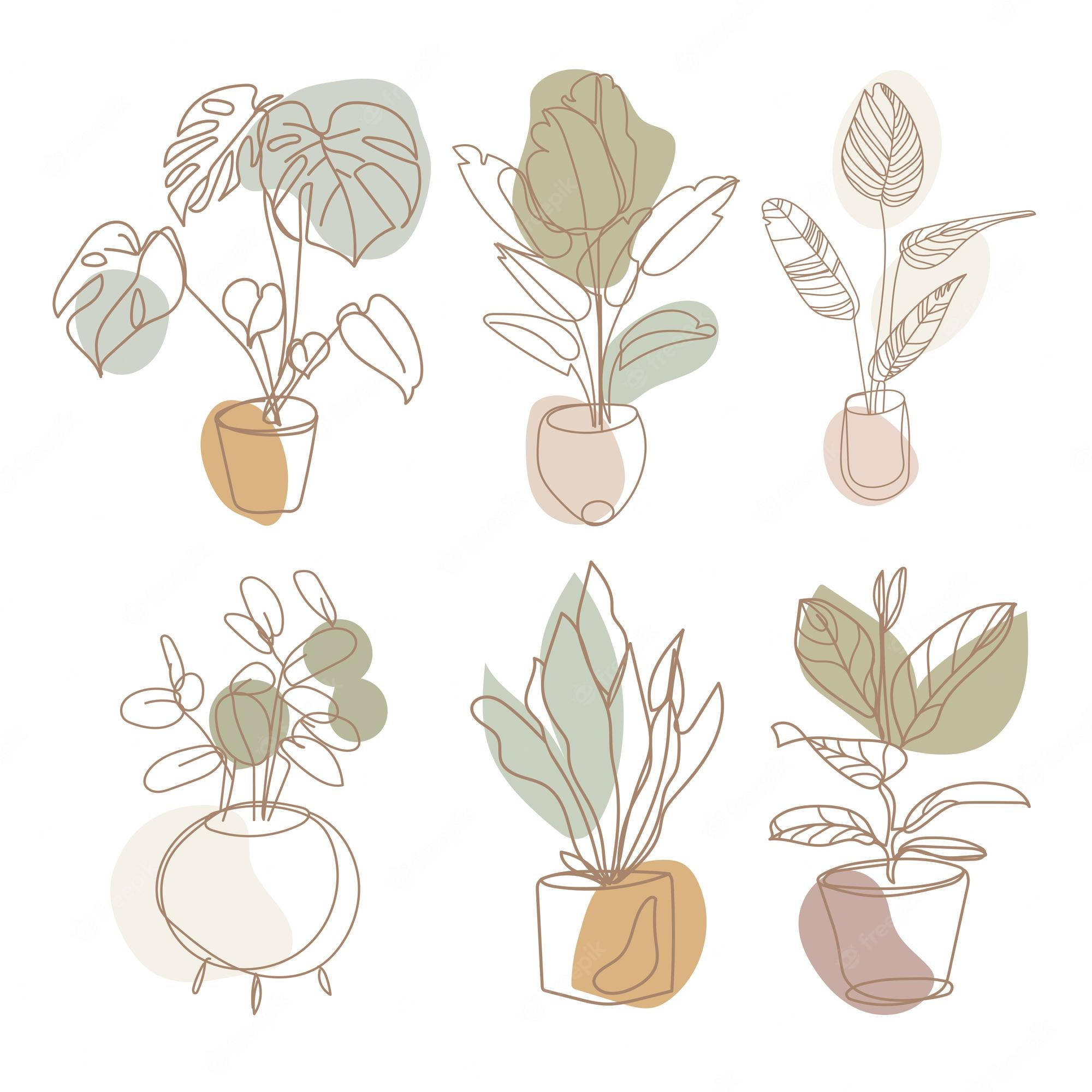 minimalist aesthetic plant drawing, line-art potted plants, soft pastel leaf shapes, Full HD Desktop Wallpaper