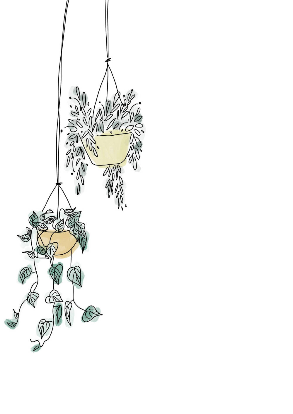 minimalist plant hanging drawing art, hanging planters, trailing green vines, HD Phone Wallpaper