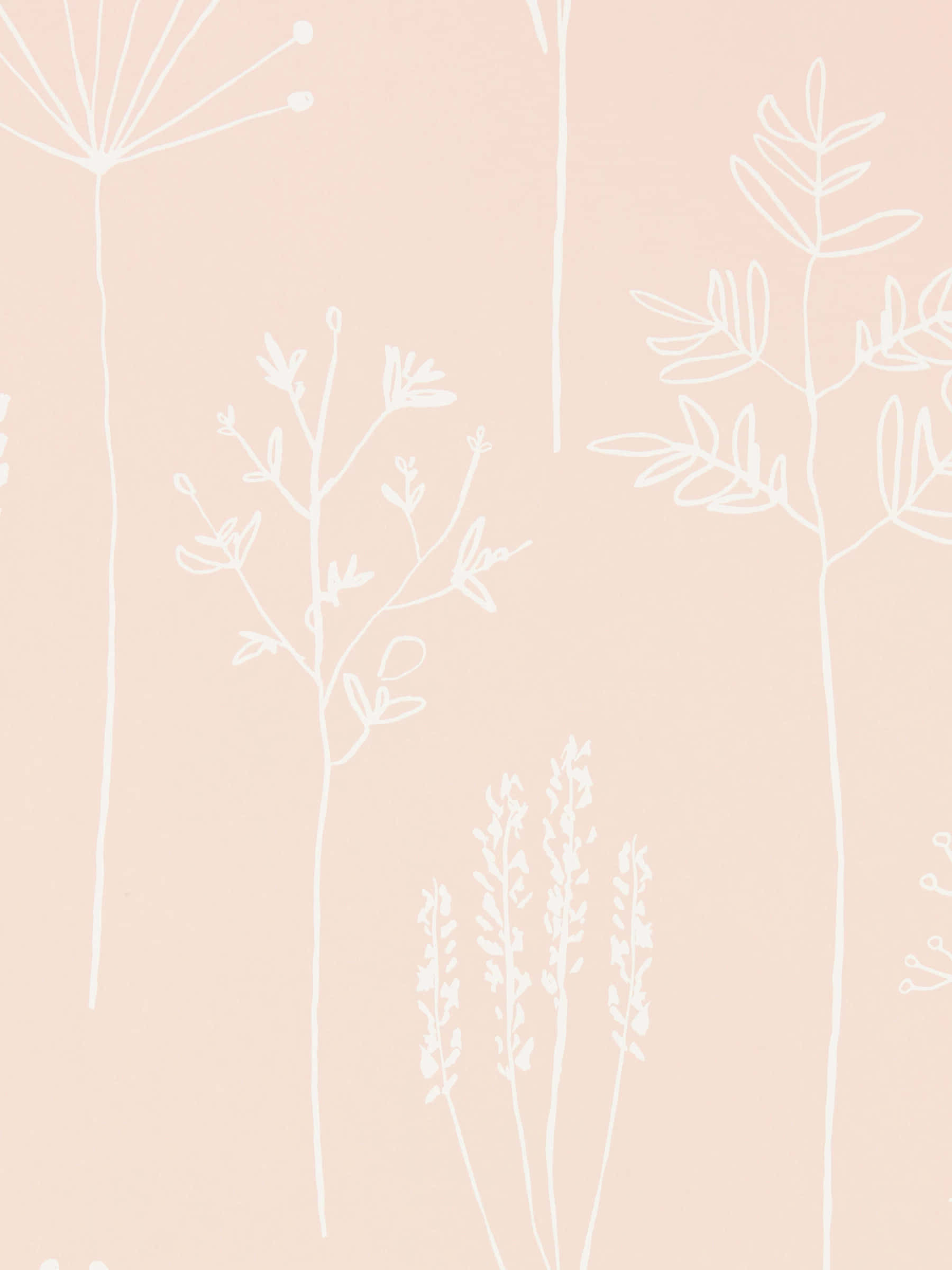 minimalist floral sketch art, dandelions, leafy stems, Full HD Phone Wallpaper