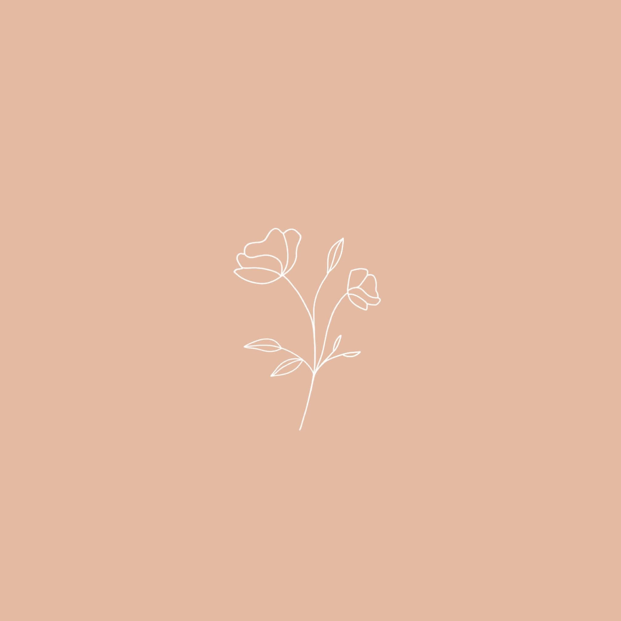 minimalism, beige aesthetic, white line drawing, Full HD Desktop Wallpaper
