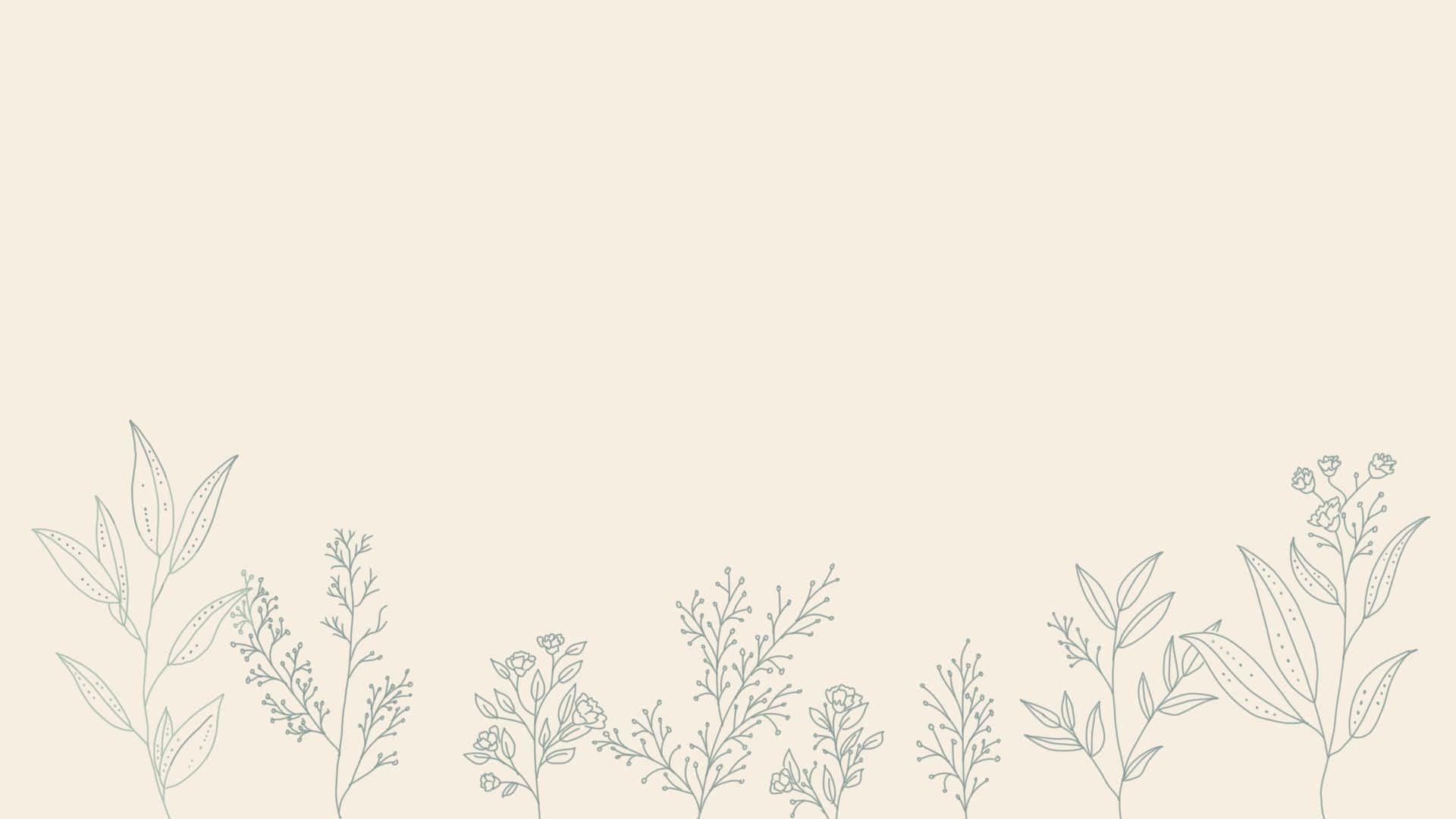 minimalist plant desktop, aesthetic line drawing, assorted foliage and flowers, Full HD Desktop Wallpaper