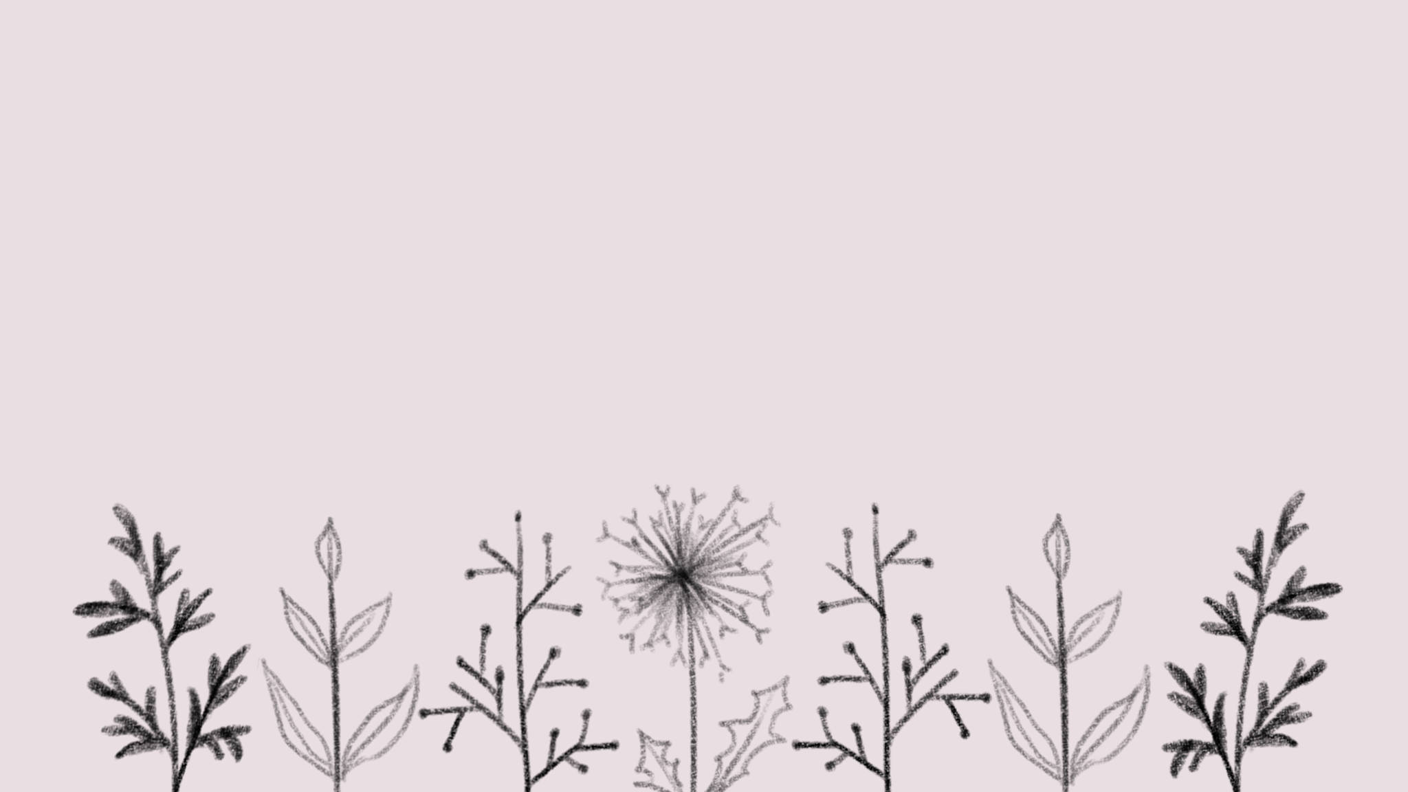 minimalist plant design drawing, dandelion, soft pink background, Full HD Desktop Wallpaper