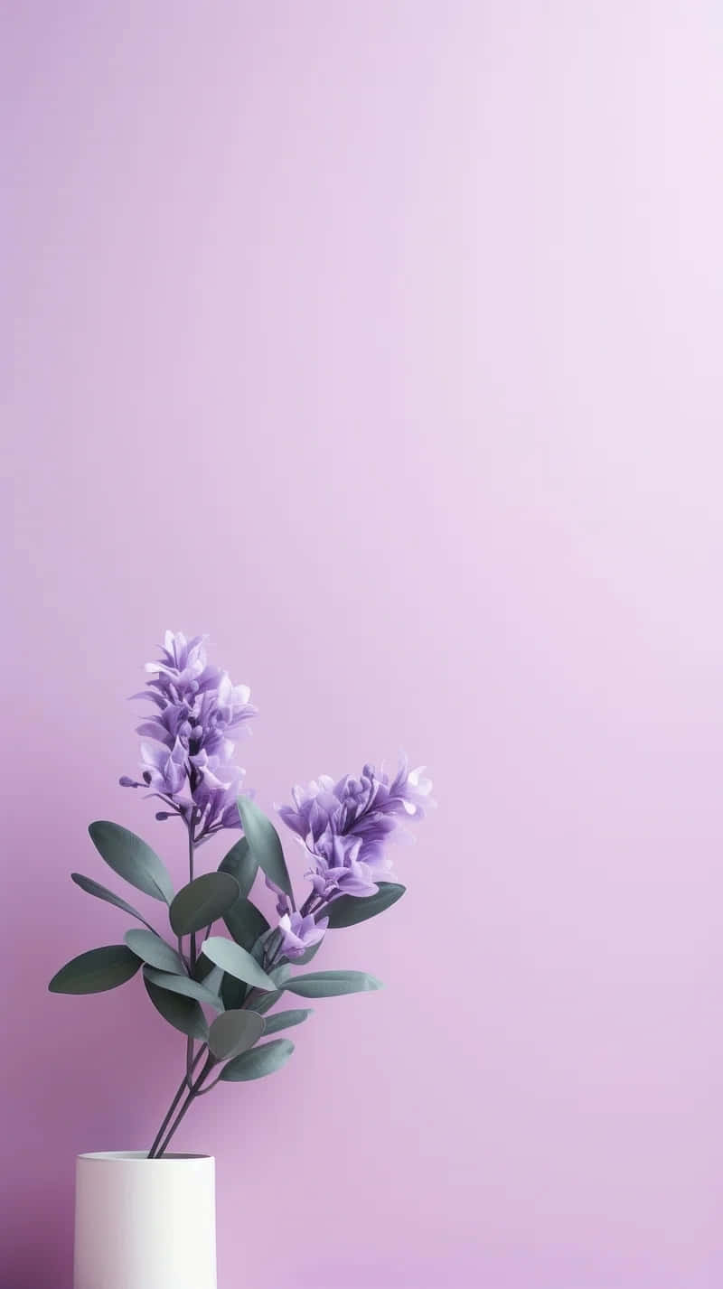 lavender flowers, green leaves, white vase, HD Phone Wallpaper