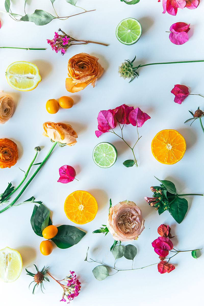minimalist spring, citrus slices, colorful flowers, SD Phone Wallpaper