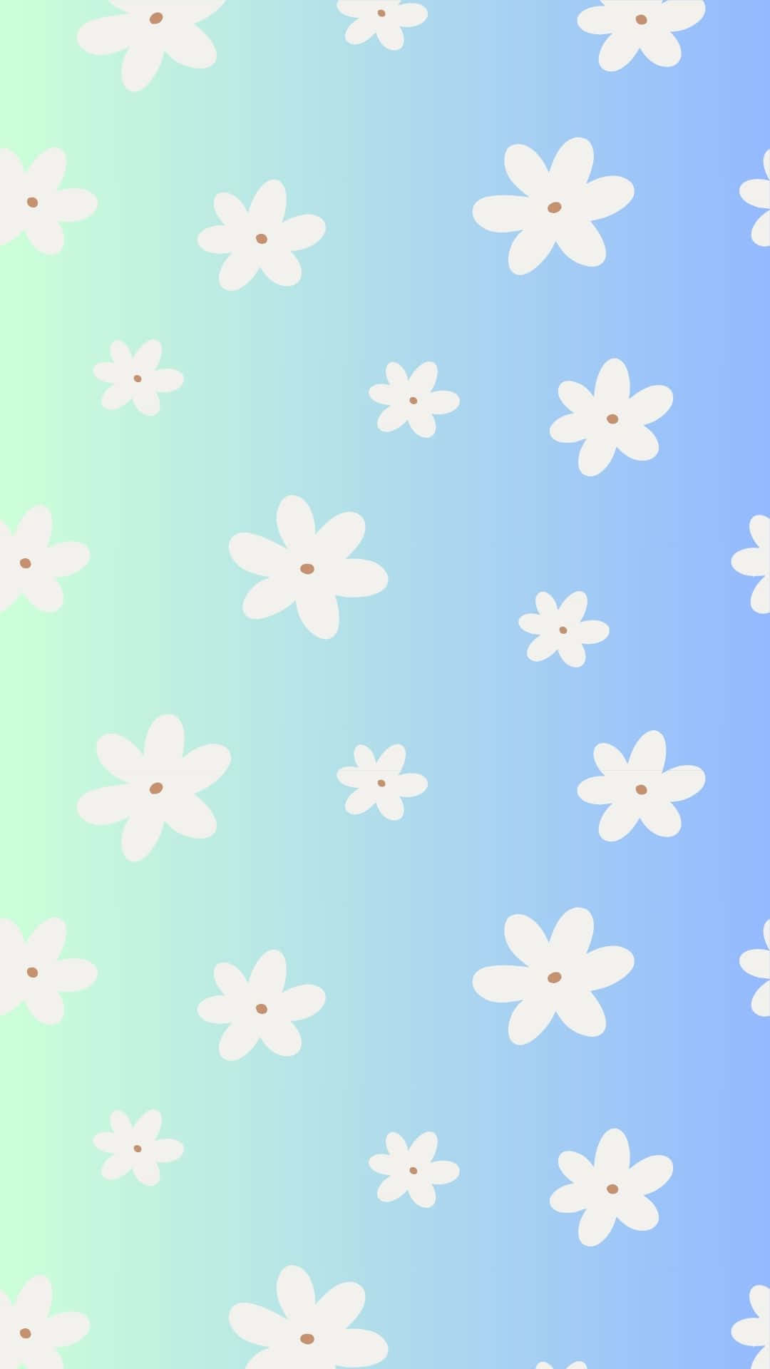 white daisy flowers, brown centers, soft gradient sky, Full HD Phone Wallpaper
