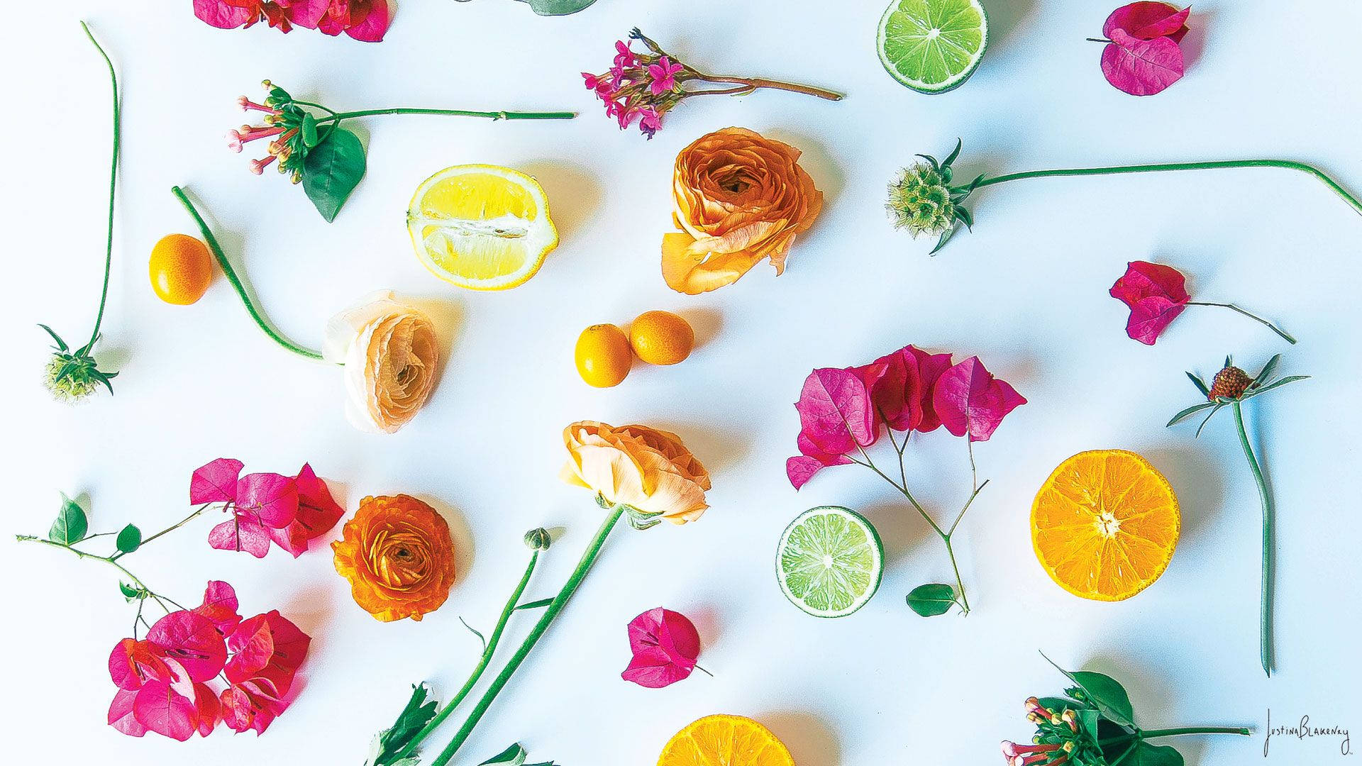 minimalist spring, vibrant pink orange and yellow flowers, citrus slices, Full HD Desktop Wallpaper