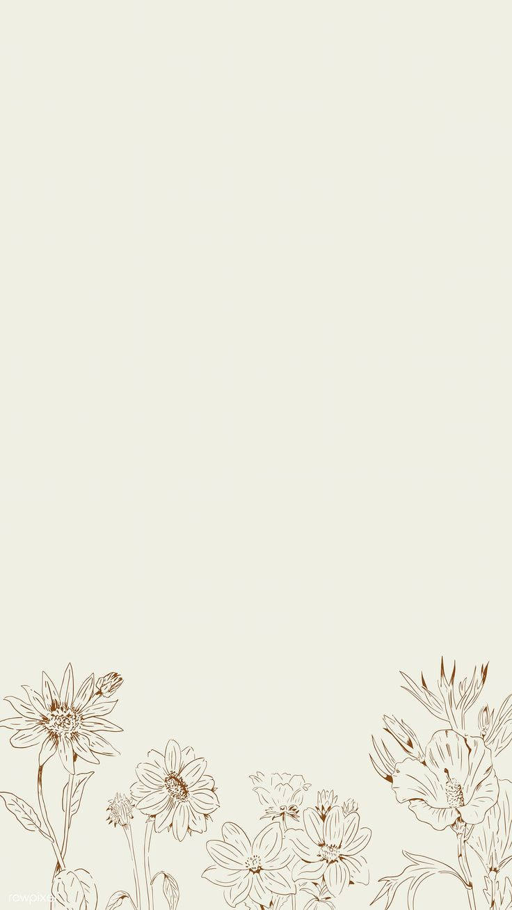 floral background, border of flowers, delicate brown line drawings, HD Phone Wallpaper