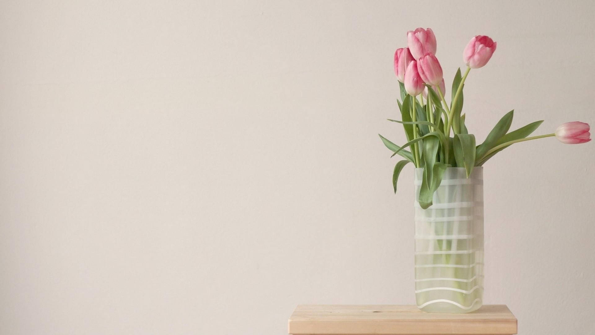 pink tulips, frosted glass vase, wooden surface, Full HD Desktop Wallpaper