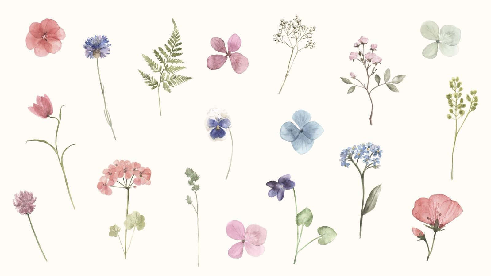 Simple Spring, watercolor flowers, ferns, HD Desktop Wallpaper