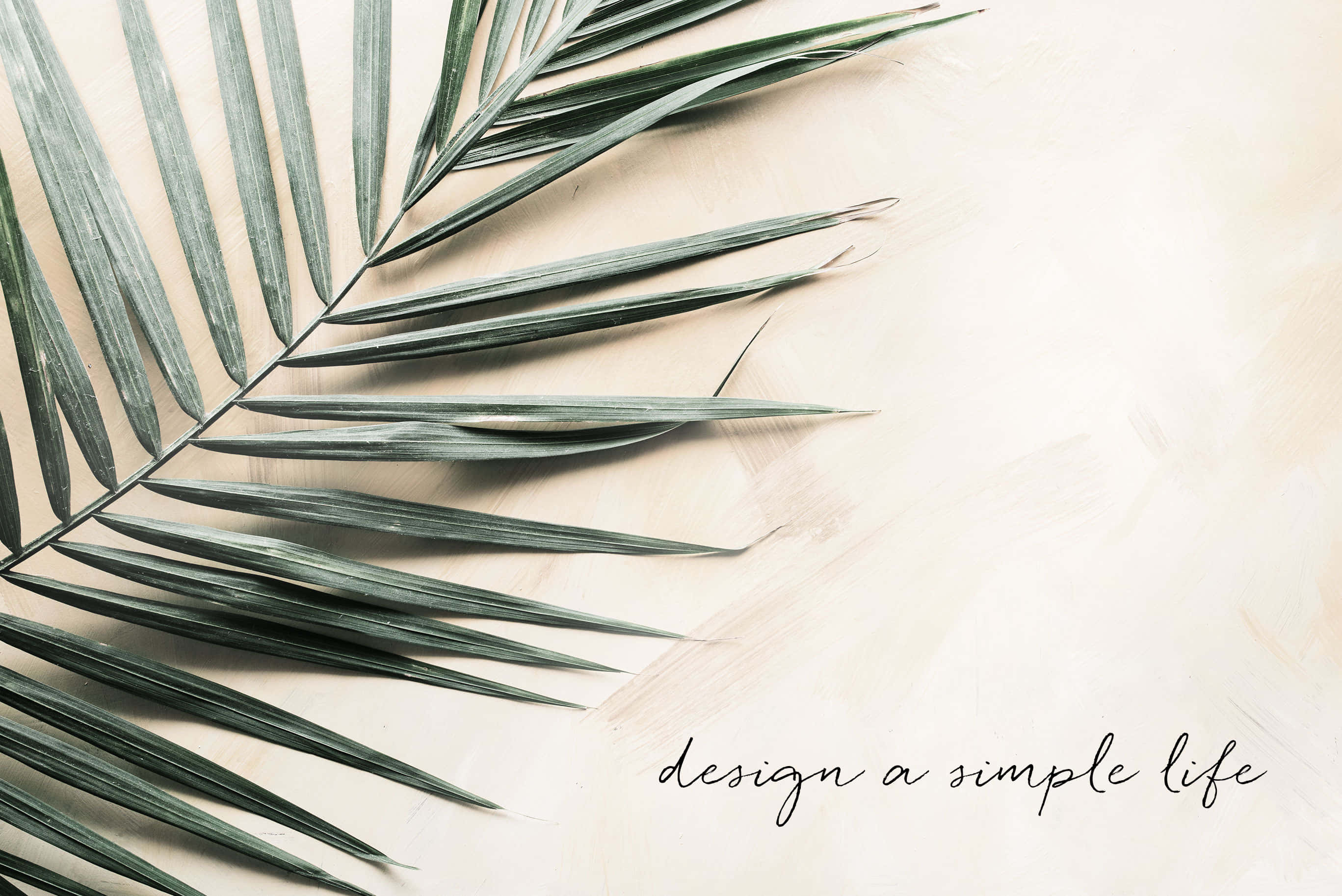 simple spring, palm leaf, textured beige surface, 2K Desktop Wallpaper