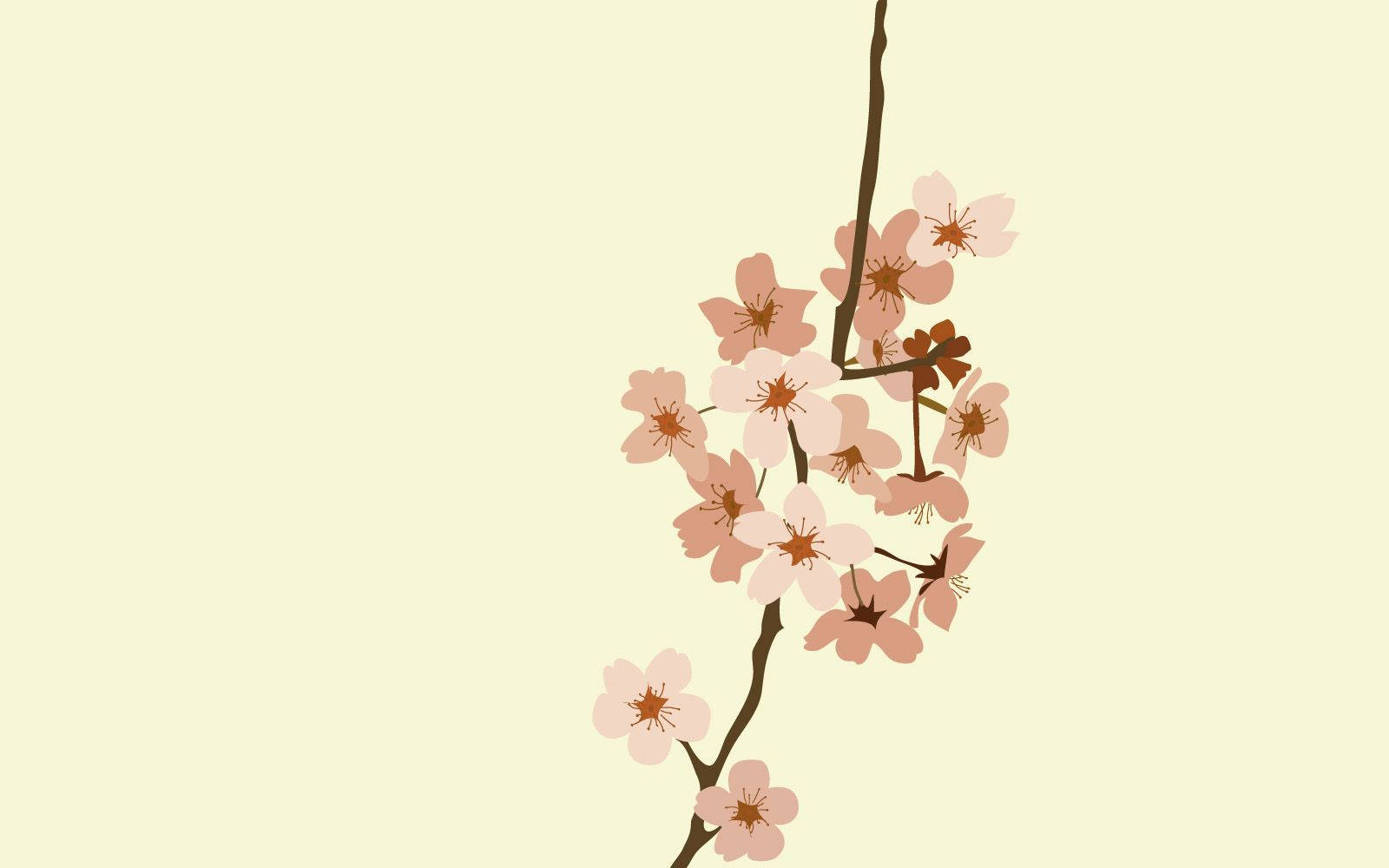 pink cherry blossoms, soft cream background, minimalist vector style, HD Desktop Wallpaper