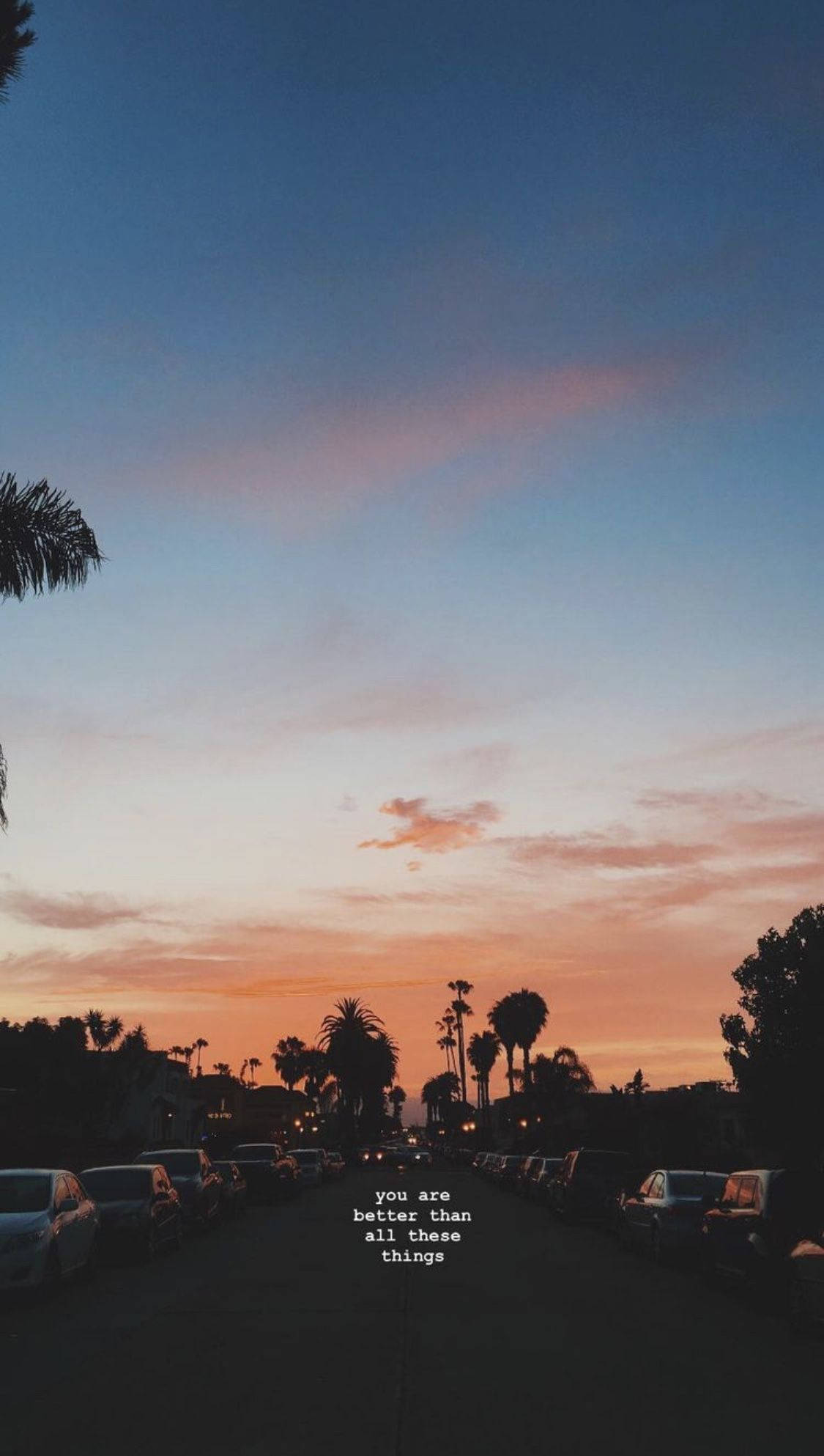 soft pastel sunset aesthetic, palm trees, parked cars, Full HD Phone Wallpaper