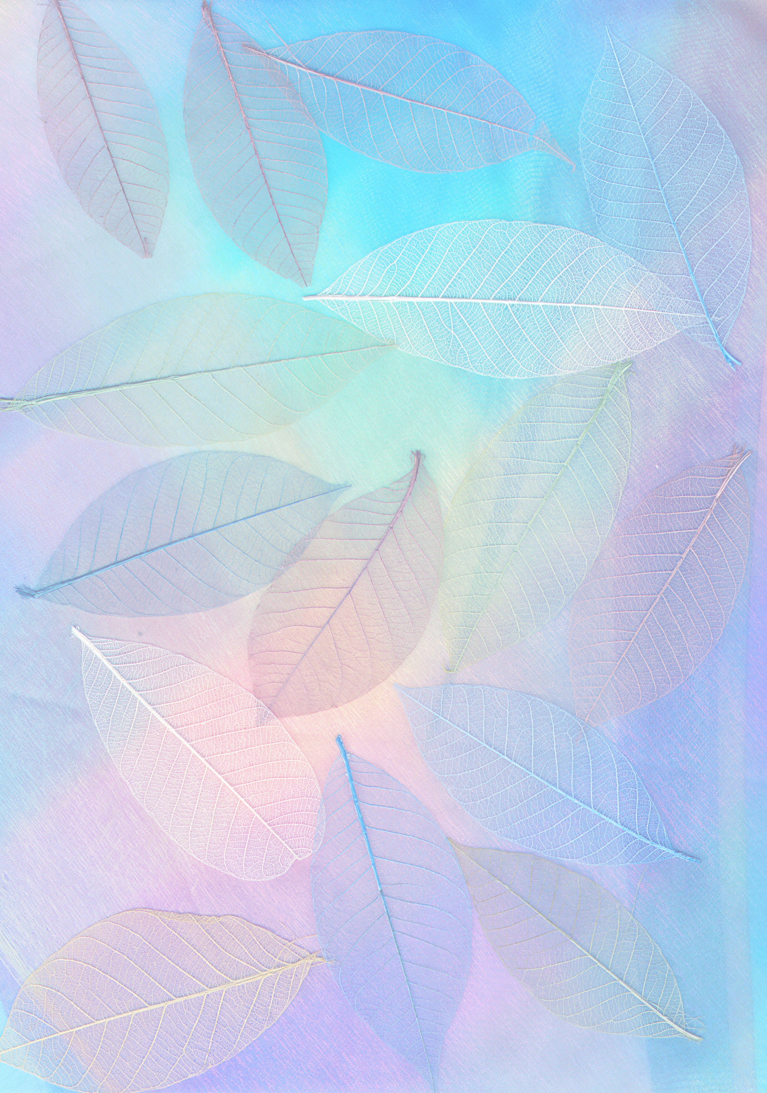 pastel teal, soft pastel gradient, blue, 2K Phone Wallpaper