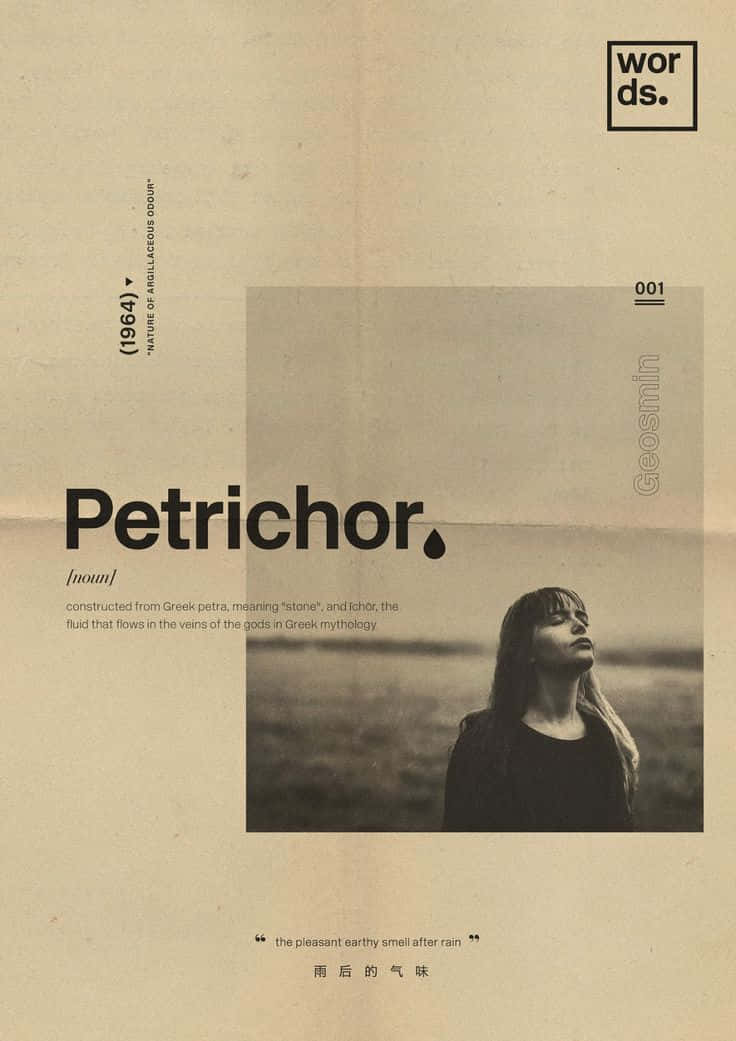 Petrichor, monochrome, woman, SD Phone Wallpaper