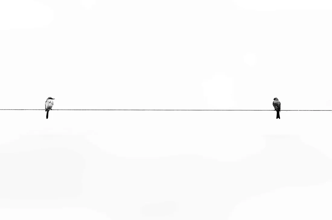 Minimalist White Aesthetic