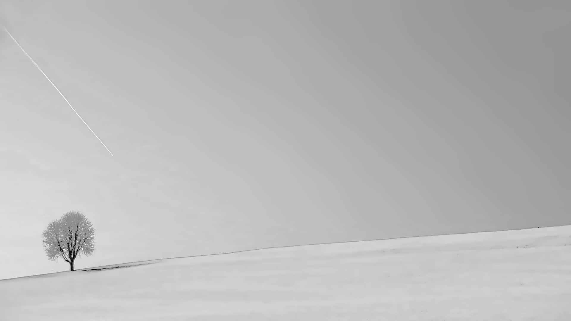 Minimalist Winter, snow-covered tree, vast snowy plain, Full HD Desktop Wallpaper