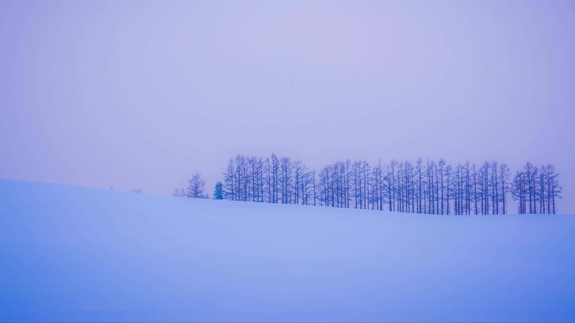 minimalist winter, bare trees, snow-covered hill, Full HD Desktop Wallpaper