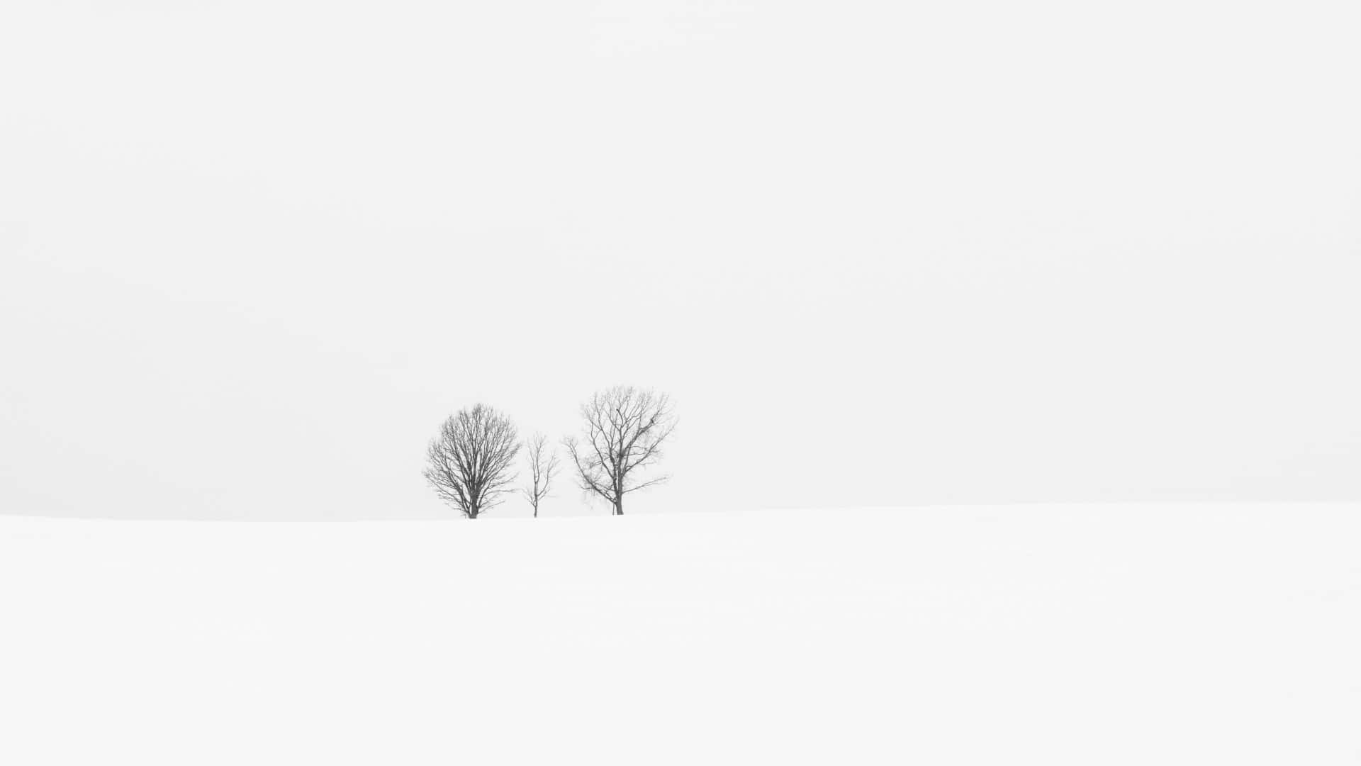 minimalist winter, snowy plain, overcast winter sky, Full HD Desktop Wallpaper