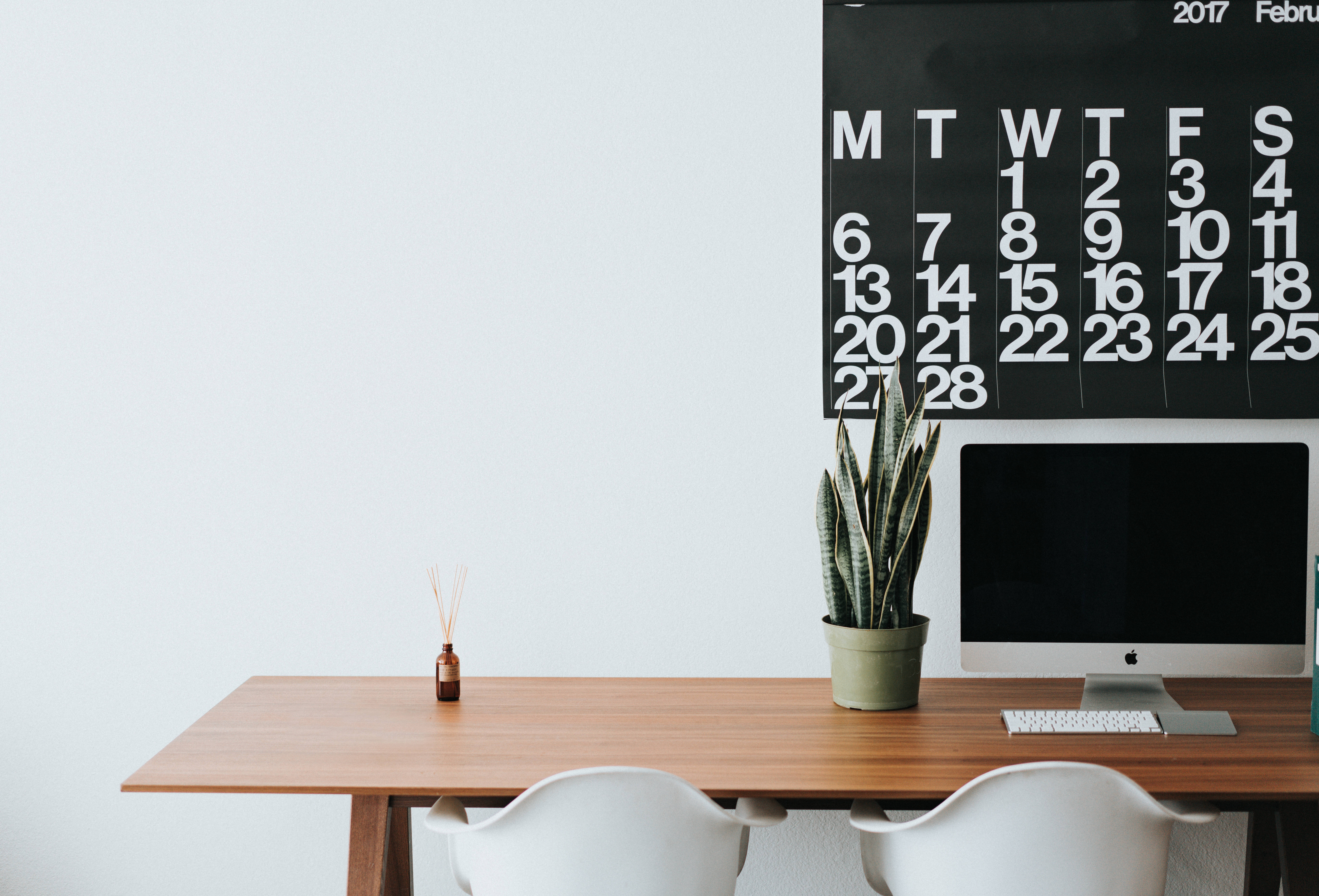 wooden desk, white chairs, potted snake plant, 8K Desktop Wallpaper