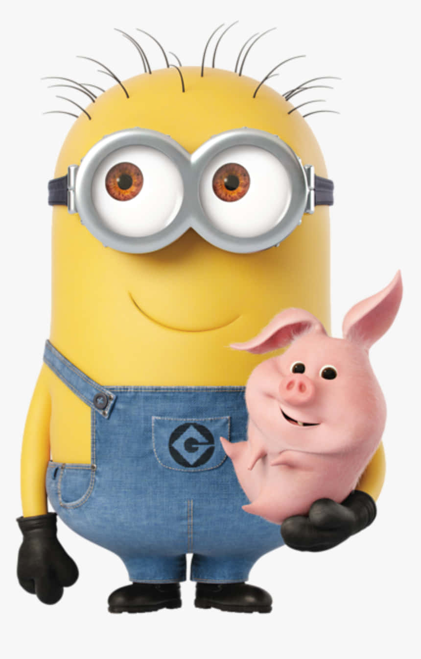 Minion, yellow, blue overalls, HD Phone Wallpaper