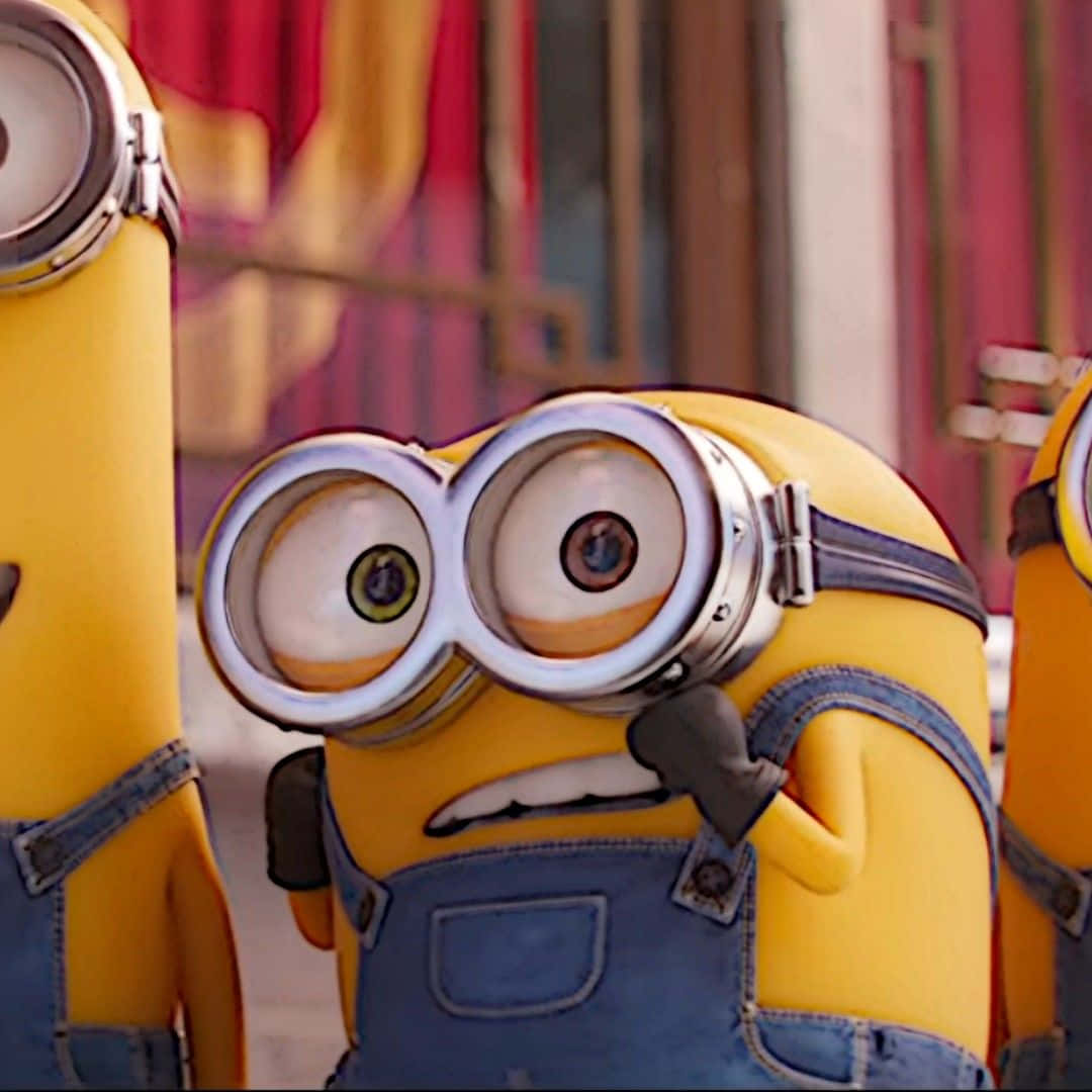 yellow Minion, large goggles, denim overalls, SD Desktop Wallpaper