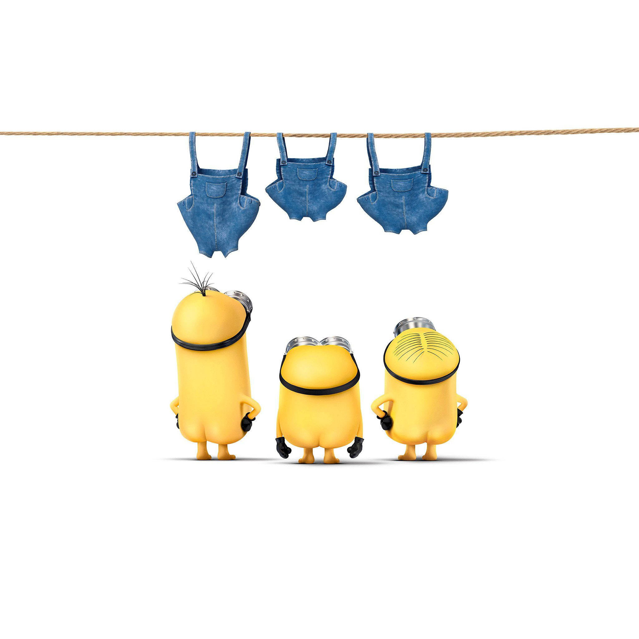 Minions, yellow Minions, blue denim overalls, Full HD Desktop Wallpaper