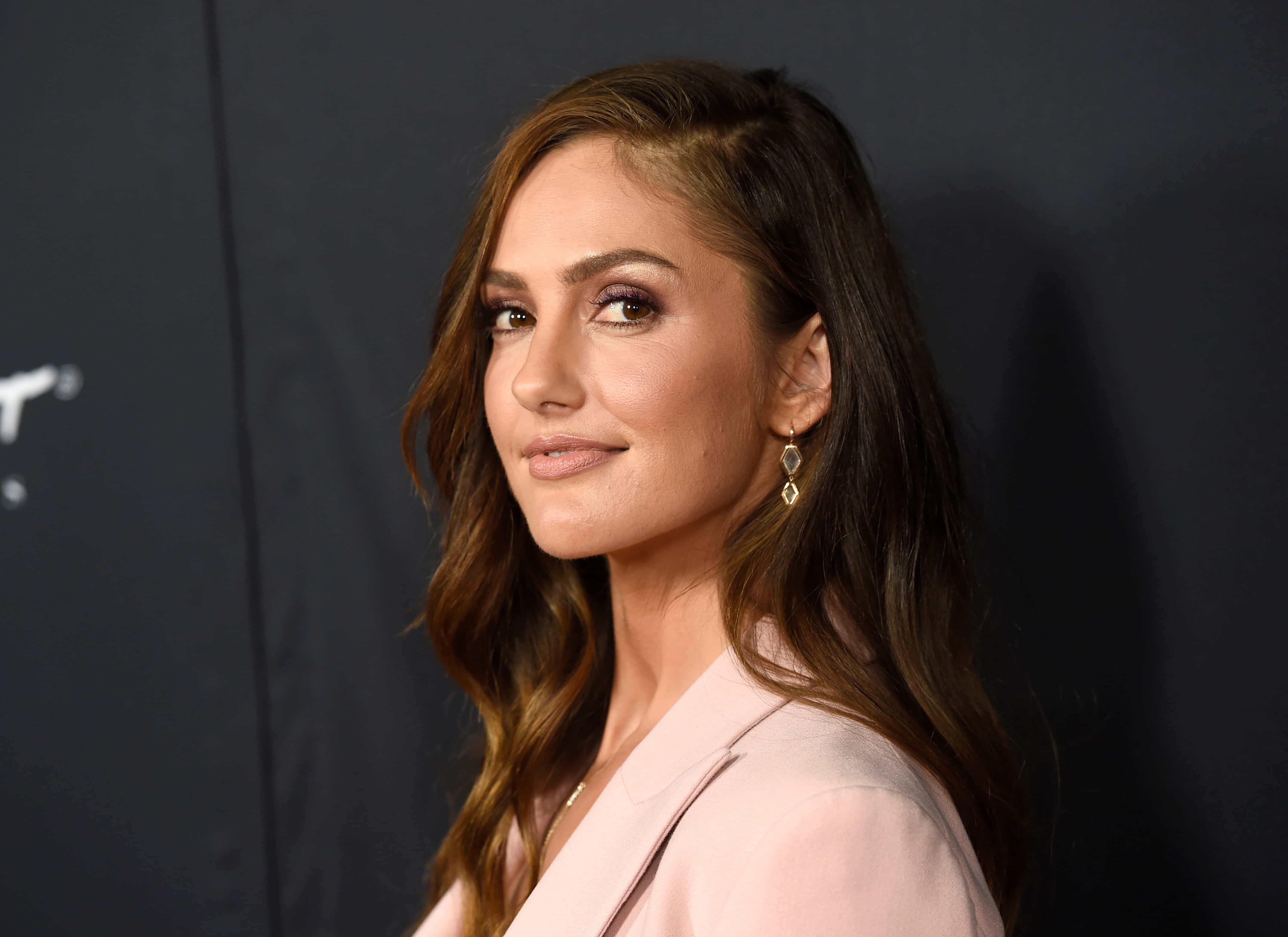 Minka Kelly, wavy brown hair, pink blazer, 4K Desktop Wallpaper