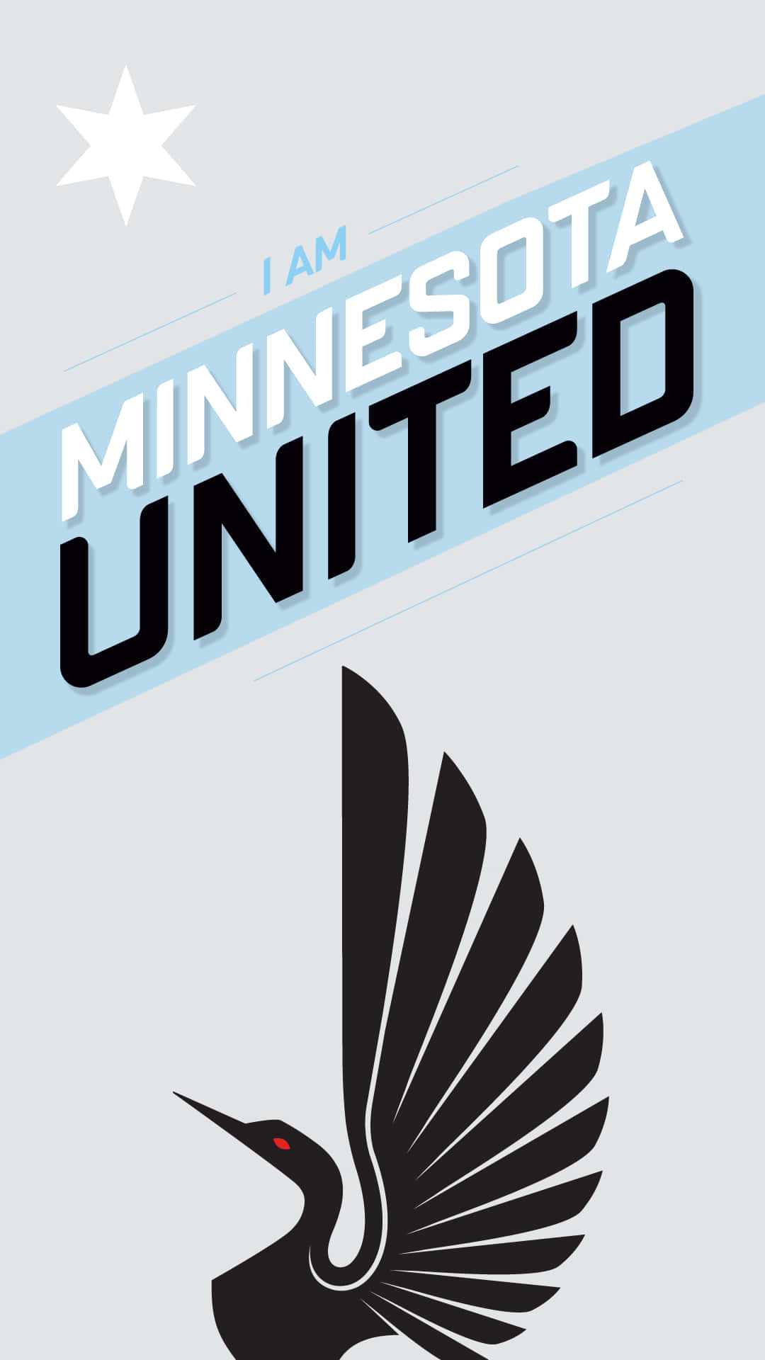 Minnesota United FC, black bird, outstretched wings, Full HD Phone Wallpaper