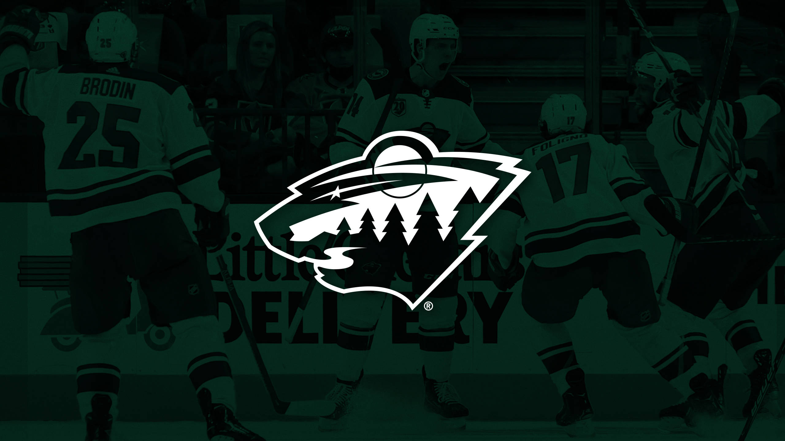 Minnesota Wild, wolf, pine trees, 2K Desktop Wallpaper