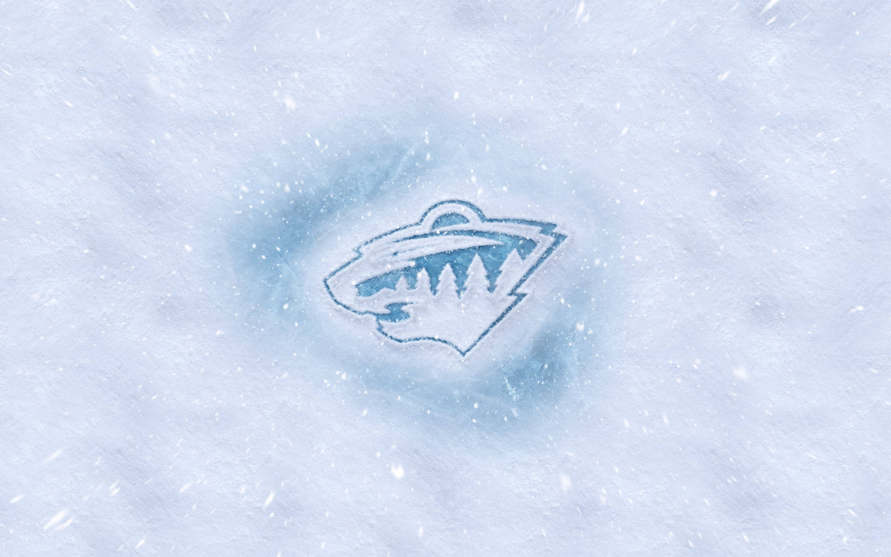 Minnesota Wild, snow, falling flakes, 2K Desktop Wallpaper
