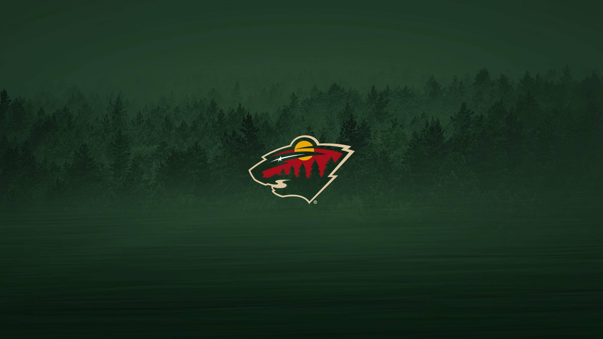 Minnesota Wild, green forest, misty forest lake, 2K Desktop Wallpaper