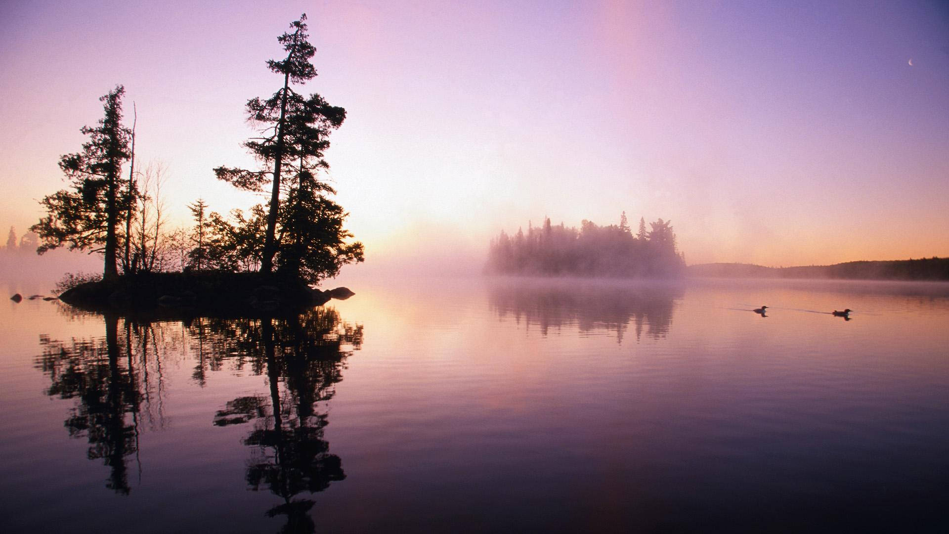 Minnesota, forest, lake, Full HD Desktop Wallpaper