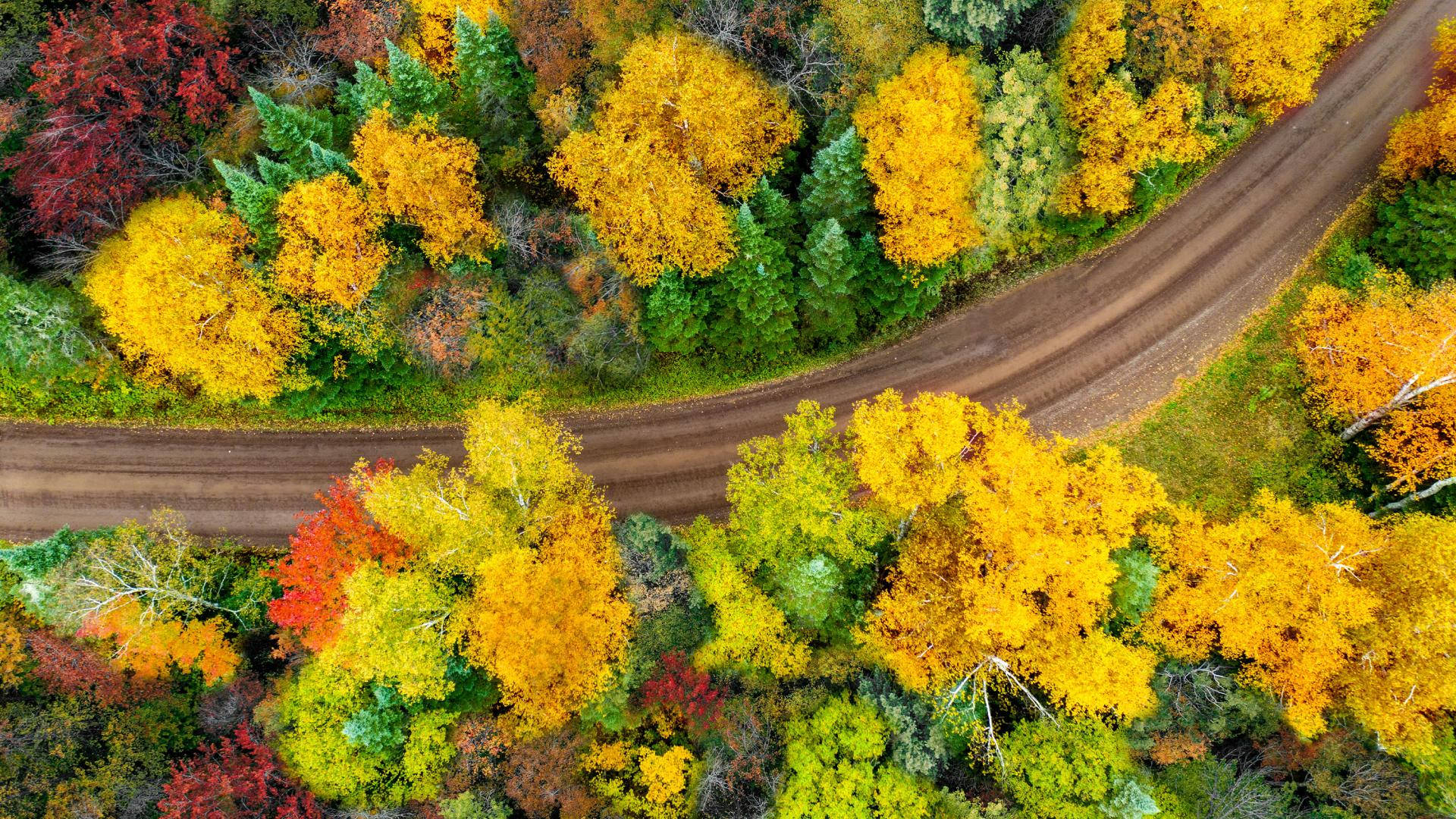 Minnesota, autumn season, aerial view, Full HD Desktop Wallpaper