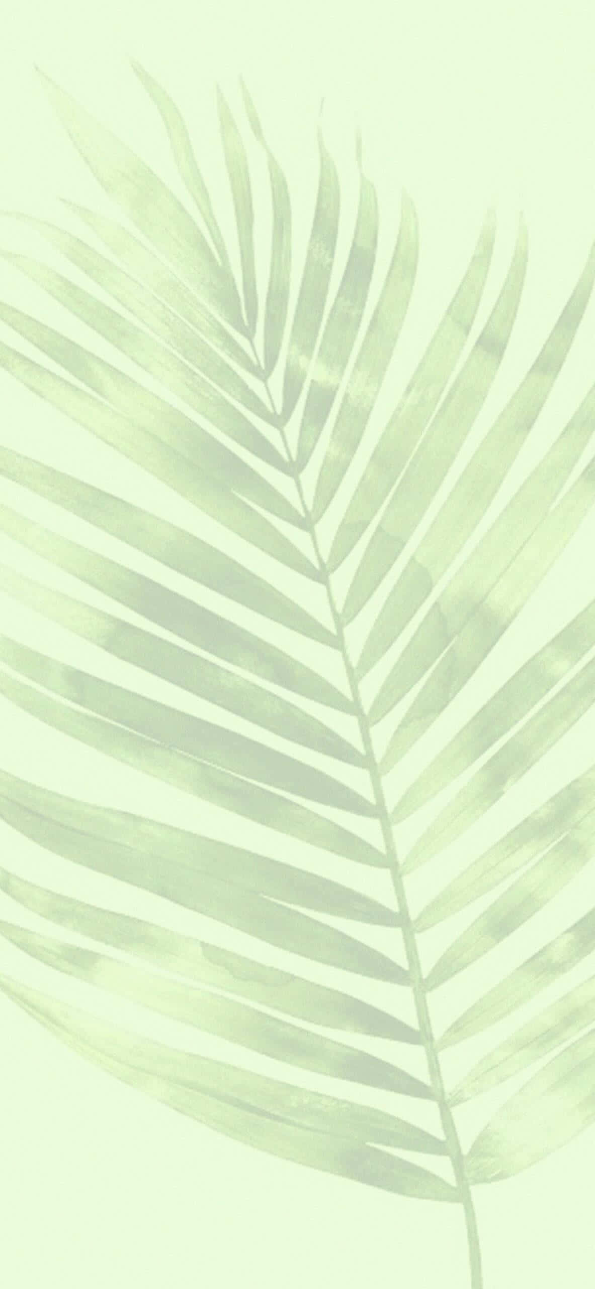 mint leaf, pale green palm leaf, delicate veins, Full HD Phone Wallpaper