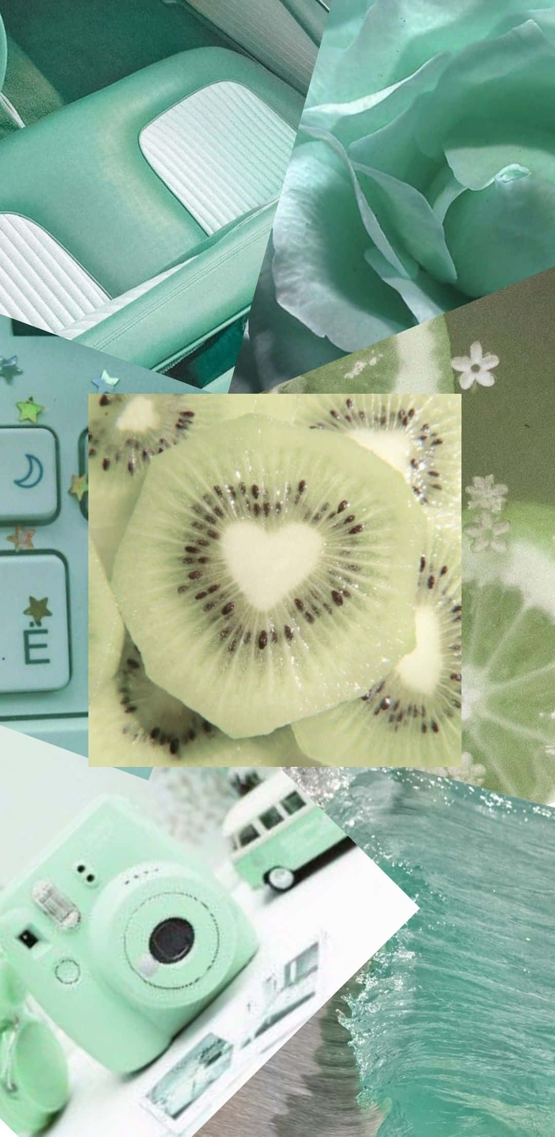 mint green, kiwi slices, heart-shaped seeds, Full HD Phone Wallpaper