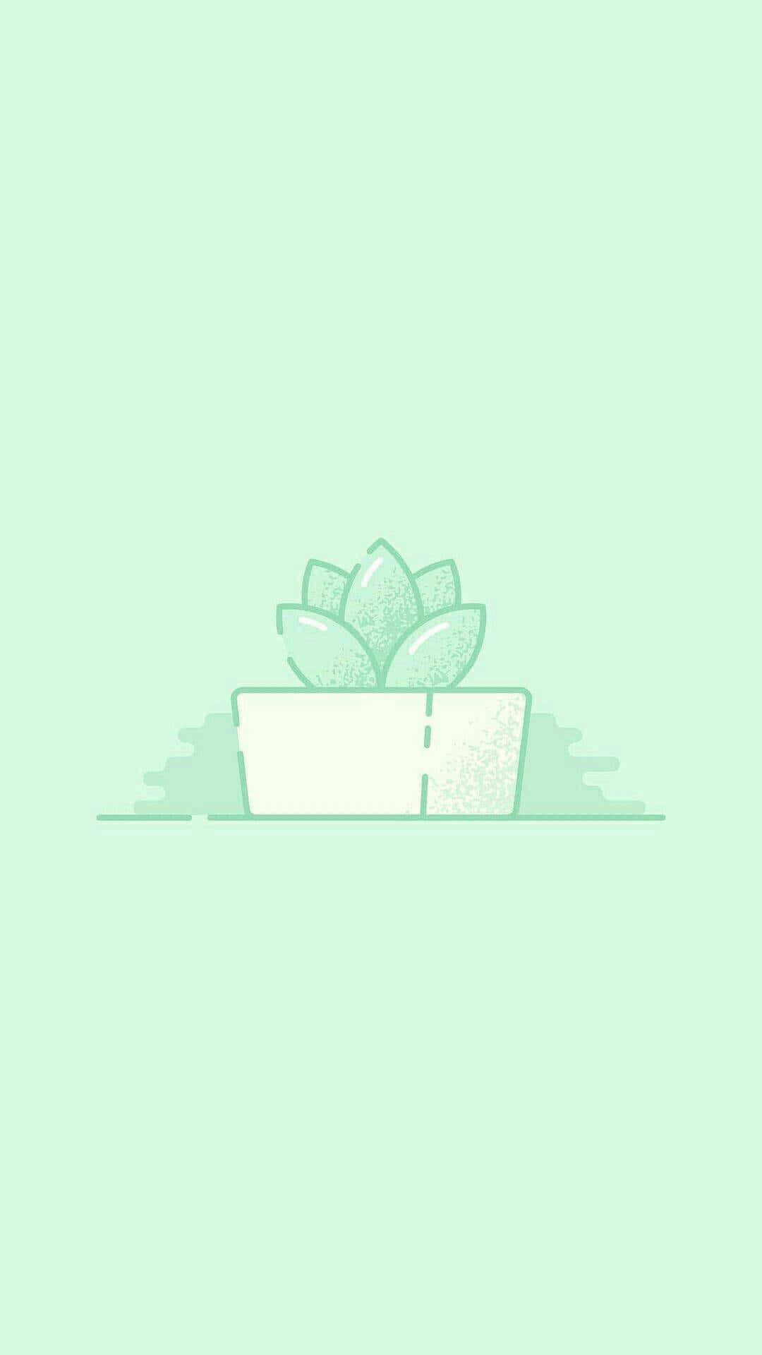 mint green, succulent, white pot, Full HD Phone Wallpaper
