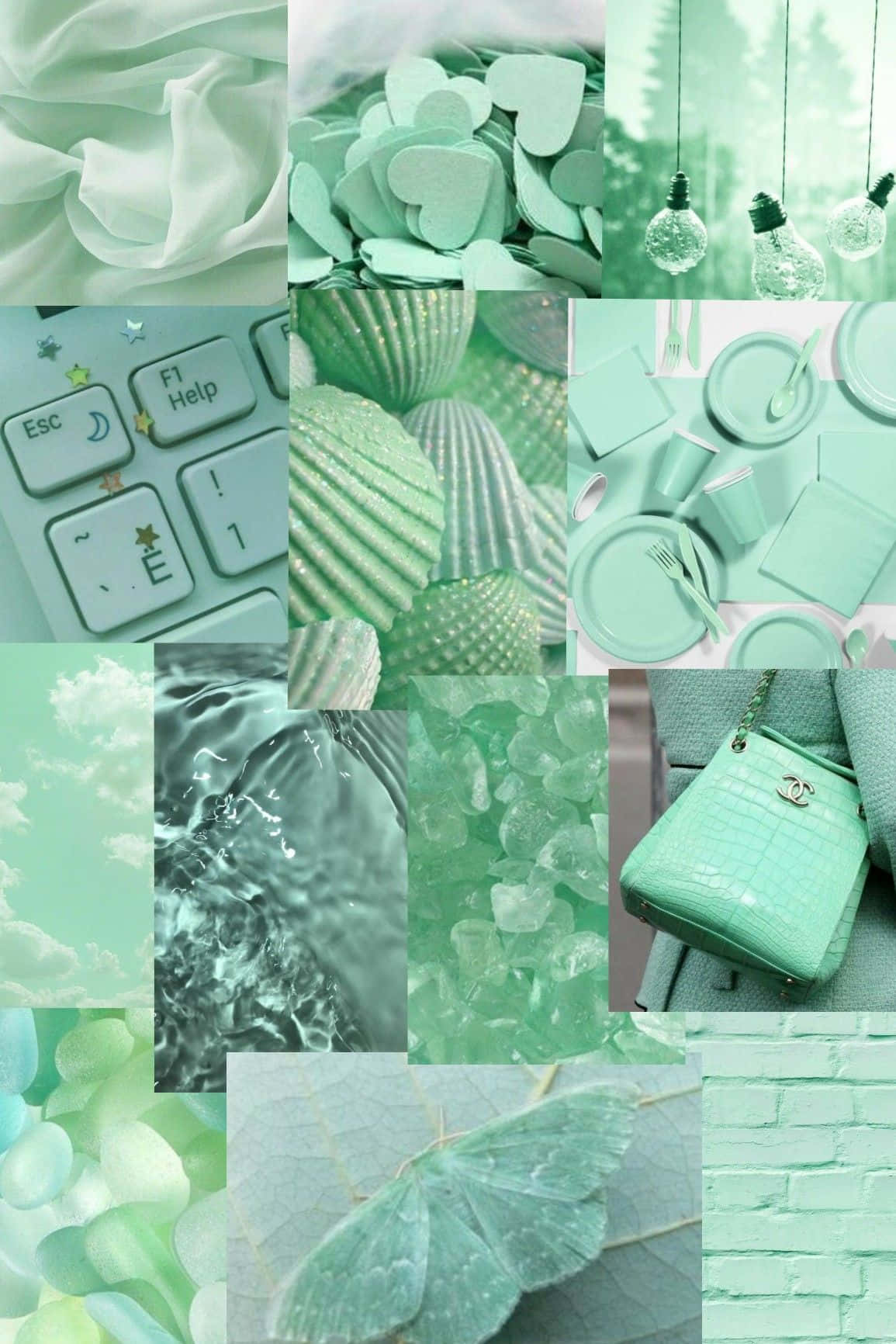 mint green, fabric shells, water crystals, HD Phone Wallpaper