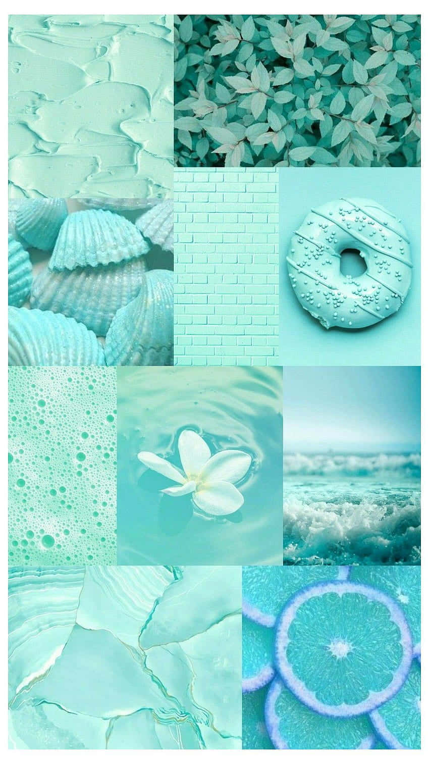 mint green, textured walls, leaves, HD Phone Wallpaper