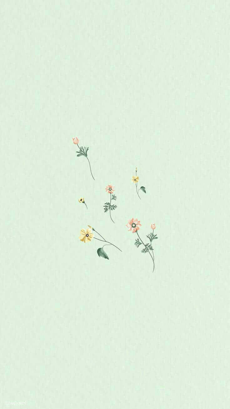 mint green, soft yellow, pink, HD Phone Wallpaper
