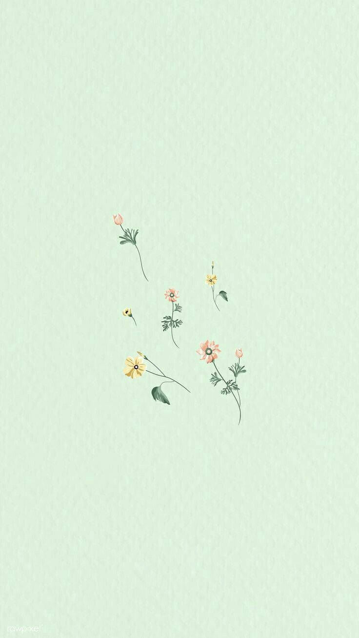 Mint Green Aesthetic, small flowers, pastel flowers, HD Phone Wallpaper