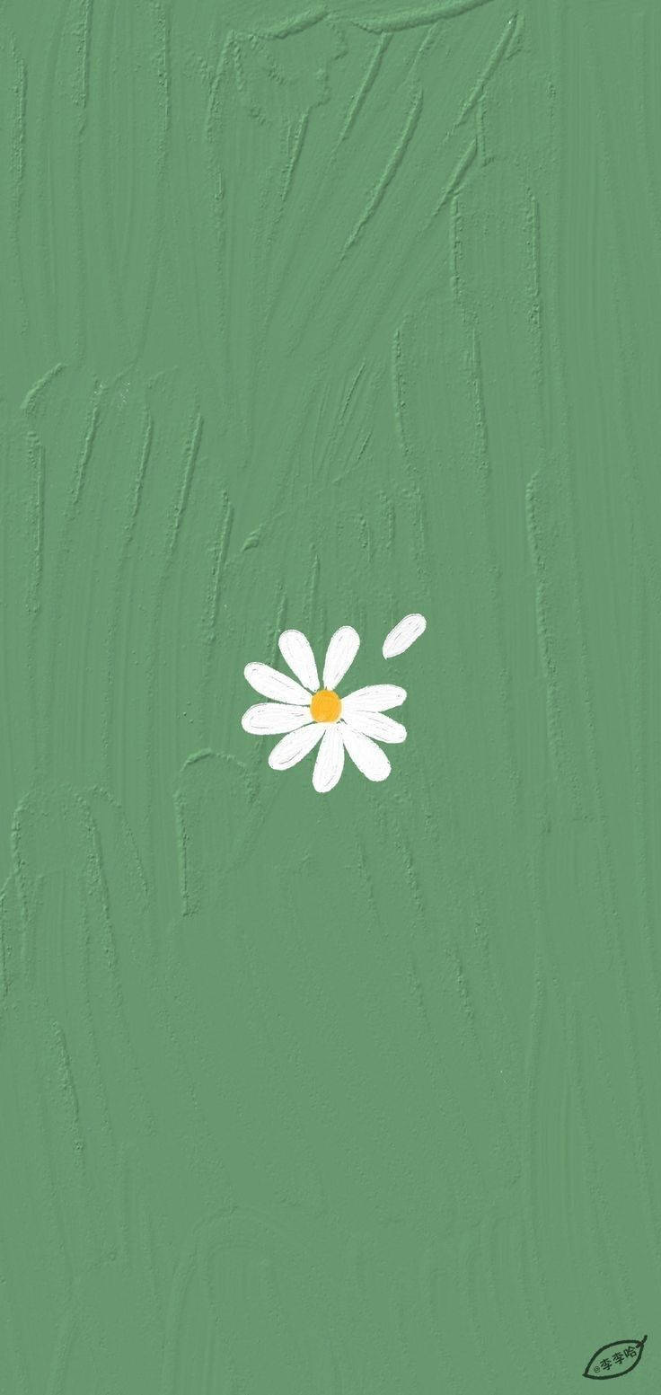 Mint Green Aesthetic, white daisy, yellow center, HD Phone Wallpaper