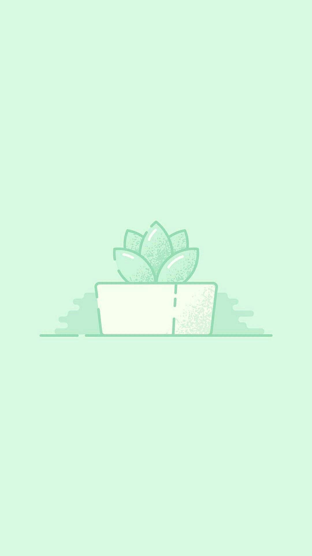 mint green aesthetic, cactus, white pot, Full HD Phone Wallpaper