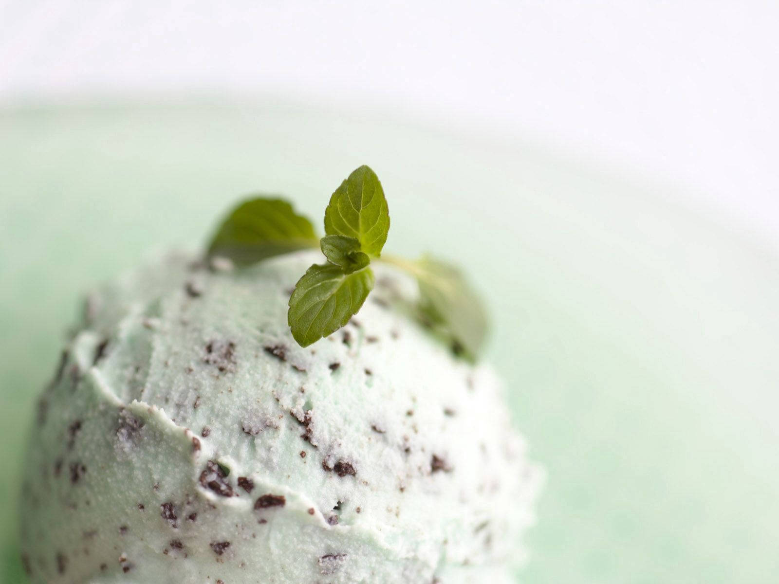 mint chocolate chip ice cream, fresh mint leaves, pale green plate, HD Desktop Wallpaper
