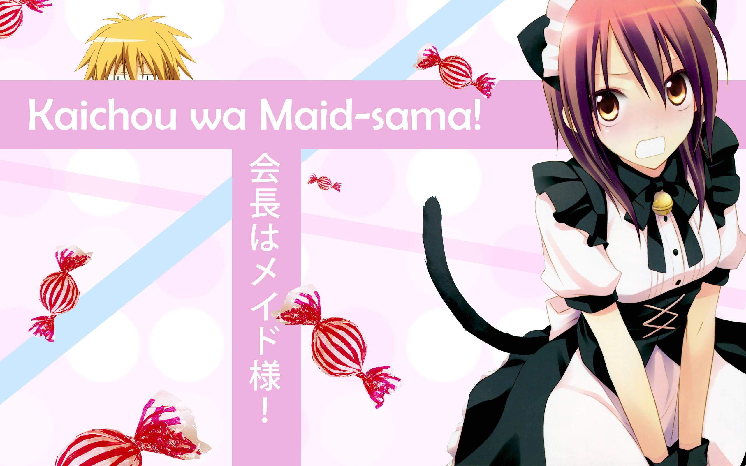 Misaki Ayuzawa, purple hair, cat ears, 2K Desktop Wallpaper
