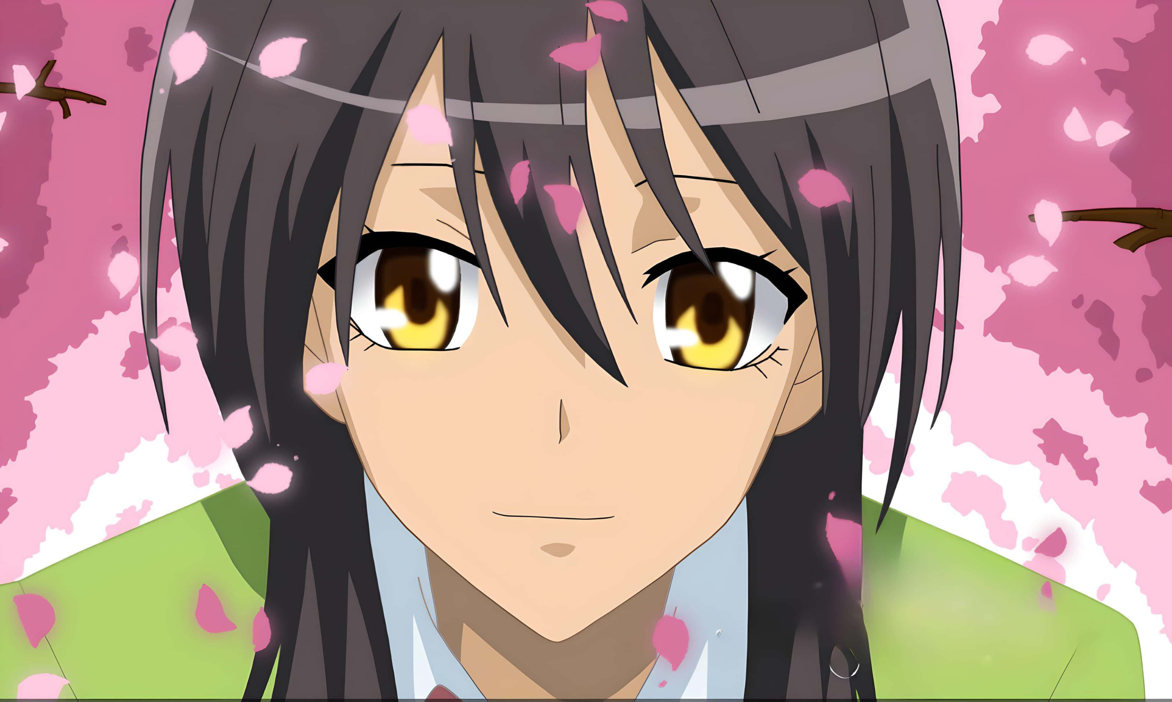 Misaki Ayuzawa, dark hair, golden eyes, 4K Desktop Wallpaper