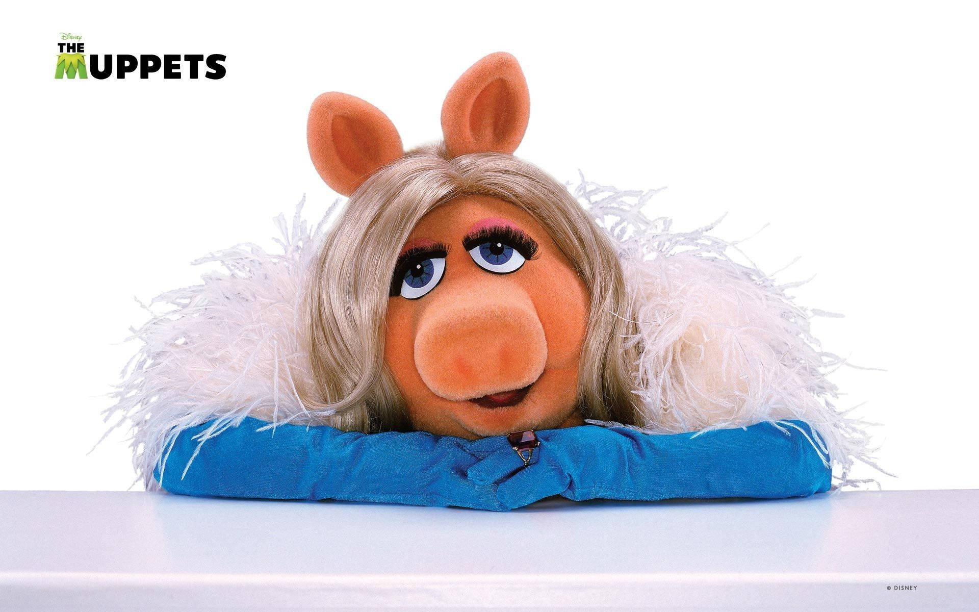 Miss Piggy, white fur dress, fluffy white collar, Full HD Desktop Wallpaper