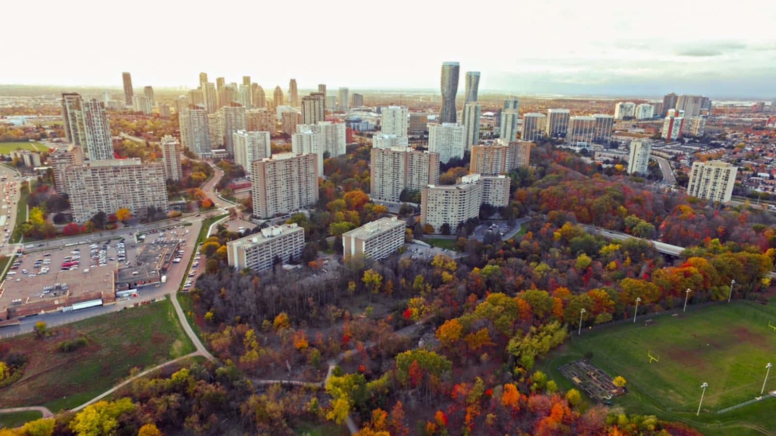 Mississauga skyline, autumn trees, vibrant reds oranges and yellows, HD Desktop Wallpaper