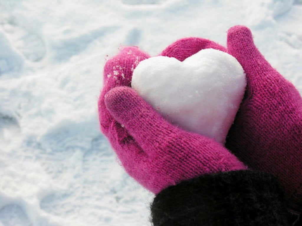 Mittens, brown and white kitten, red yarn, SD Desktop Wallpaper