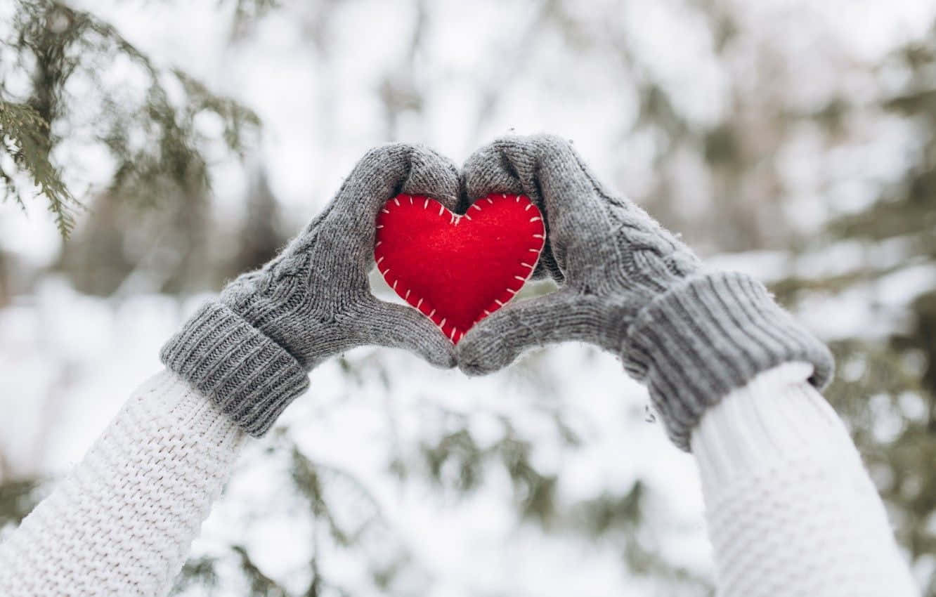 mittens, felt heart, snowy winter forest, HD Desktop Wallpaper