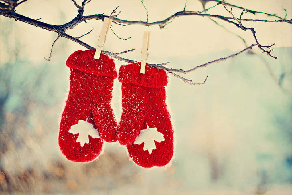 Mittens, red knitted mittens, white leaf patterns, SD Desktop Wallpaper